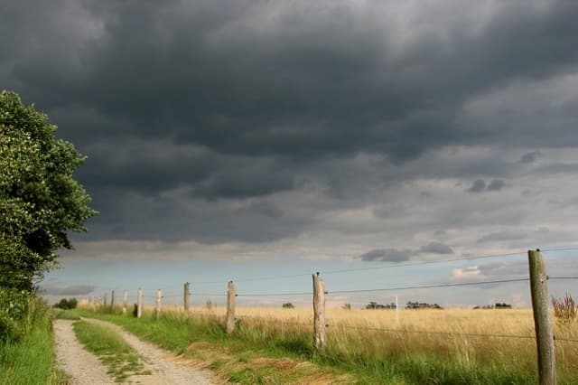 Campos